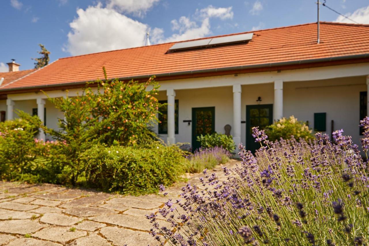 Barta Pince Vendégház Mád Exterior foto